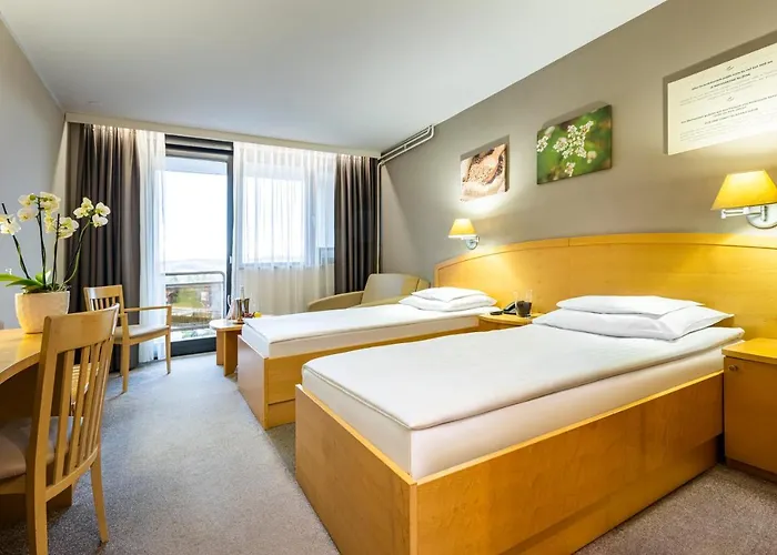 Otel Ajda - Terme 3000 - Sava & 4*