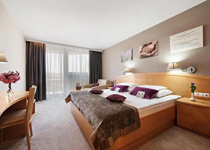 Hotel Ajda - Terme 3000 - Sava &